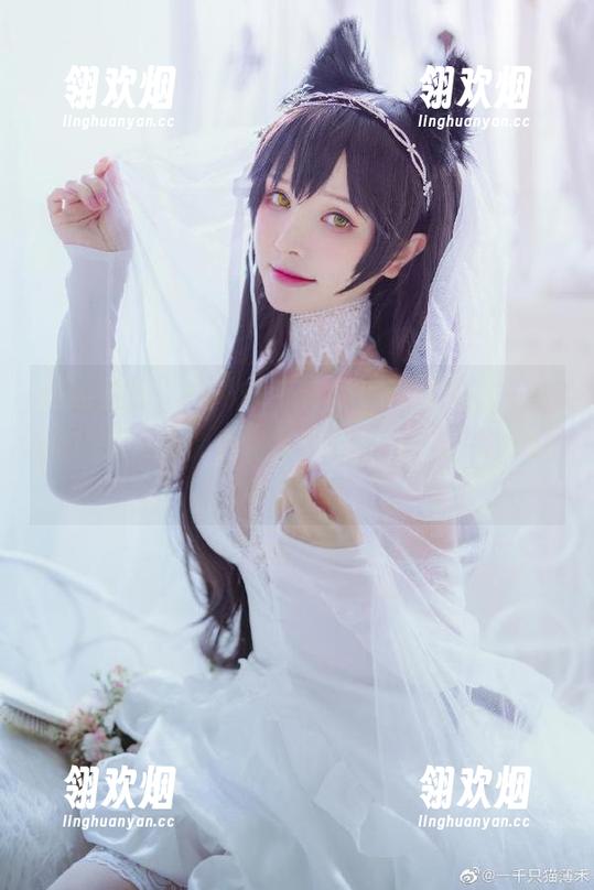 校园里的“一千只猫薄禾”在线更新，美图让每一帧都像是从快进的人生剪辑中抓出来的。
