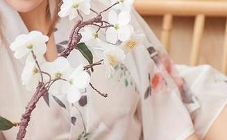 尤蜜荟 – 让人忍俊不禁的费若拉：她的女仆装和私房写真，其实是家务新哲学？