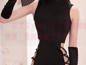 秀人网 – 林文文yooki带你领略她的姐姐精选，竟然有那么多色彩。